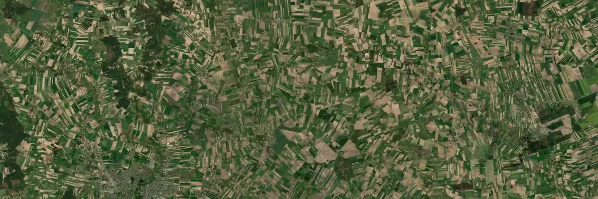 Widok na miasto: Opinogóra