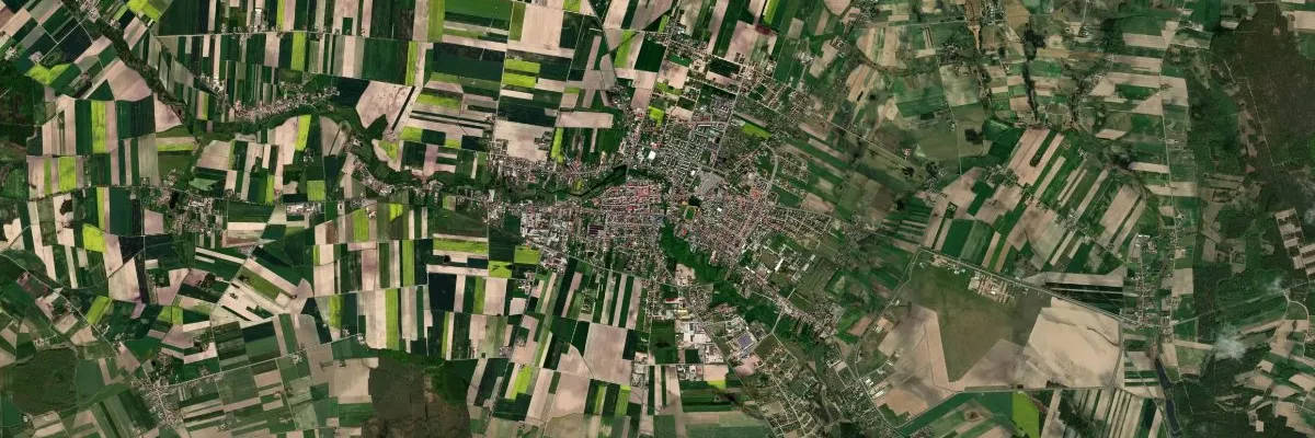 Widok na miasto: Przasnysz