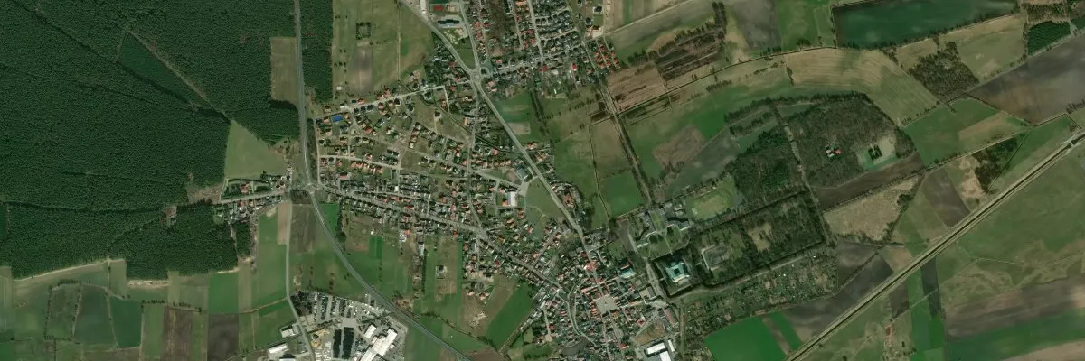 Widok na miasto: Rydzyna