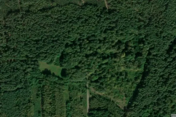 Widok z lotu ptaka: Muzeum Gross Born w Bornem Sulinowie