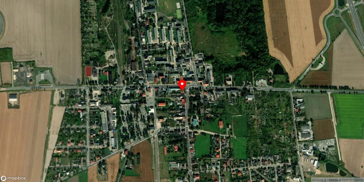 Satelitarny widok na Muzeum im. Jerzego Dunin-Borkowskiego w Krośniewicach