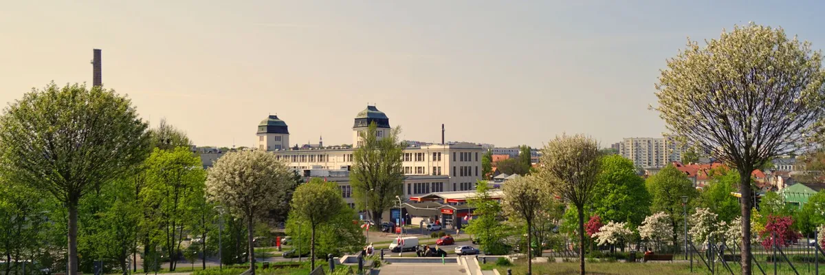 Widok na miasto: Wschowa