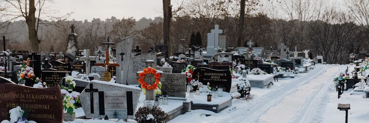 Widok na miasto: Piotrków Trybunalski