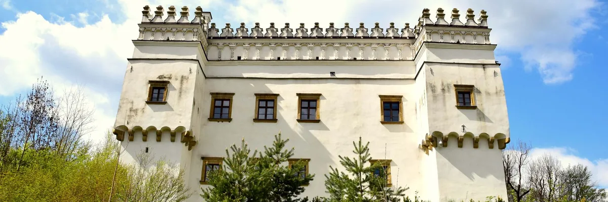 Widok na miasto: Rzeszów